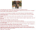 The Best Elephant Story Ever Told