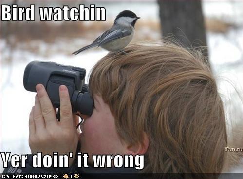 Bird Watchin\', Yer Doin\' It Wrong
